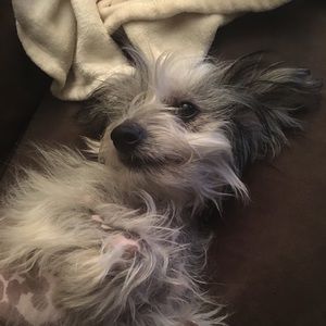 Meet your Posher, Julie